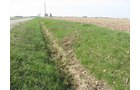 Property photo 26 - 172 Acres Offered in 3 Tracts - Prime Farmland